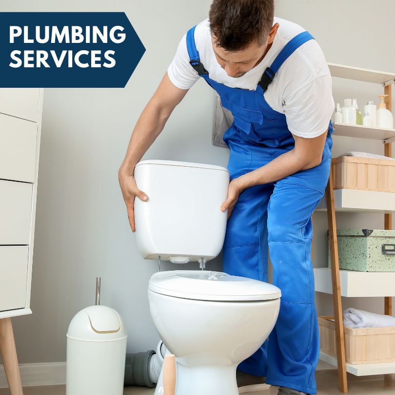 Plumbing Company in Peotone, IL
